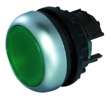 Leuchttaster grün Bild 1