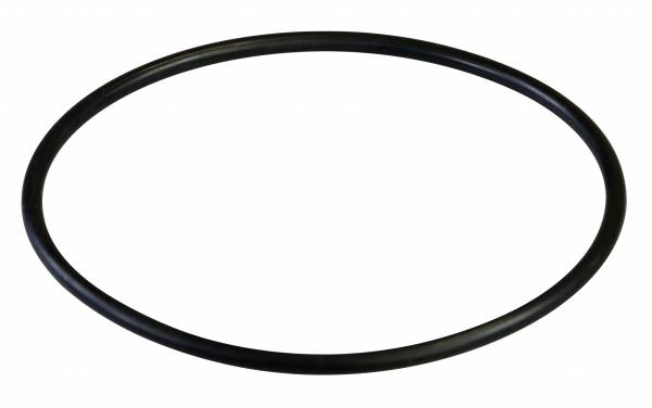 0-Ring 117 x 5 für Saugflansch