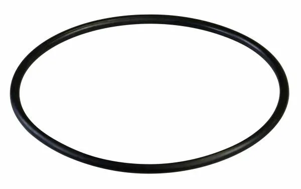 0-Ring 117 x 5 für Saugflansch