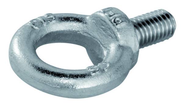 Ringschraube M10 x 19 verzinkt